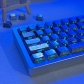 Frost Silvery Metal Feature 61 Keys PBT Doubleshot Side Legends Keycaps Set Cherry Profile for Cherry MX Keyboard